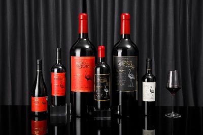 微醺之戰號角已響，醉鵝娘獲數千萬元A輪融資，推動葡萄酒行業創新